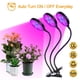 thumbnail image 3 of Luz De Crecimiento De Plantas Led, Luz De Crecimiento De Plantas Con Control Remoto Para Sala De Estar, Oficina, Interior Cateissary HA025672-03, 3 of 7