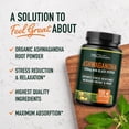 thumbnail image 2 of Suplemento SMNutrition Ashwagandha 1300 mg 120 cápsulas, 2 of 8