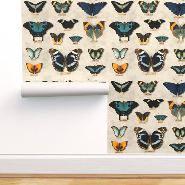 PeelandStick Removable Wallpaper Butterflies Pin Board Insects Bugs