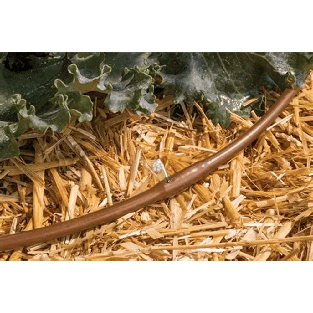 200 Feet Rain Bird Drip Irrigation Pressure Compensating 1/4" Emitter Tubing Emitters built-in!