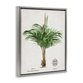 thumbnail image 2 of Stupell Industries Bohemian Natural Palm Variety Study Gray Floating Frame Canvas Art, 17 x 21, by Val Rhodes, 2 of 8