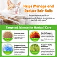 thumbnail image 4 of Cat Hairball Support Drops, Cat Hairball Control, Skin & Coat Health, Digestive Comfort, for Kittens & Adult Cats 2floz/60ml, 4 of 9