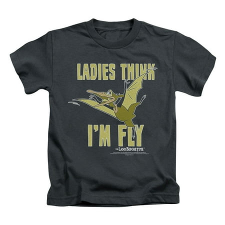 - Land Before Time Boys' I'm Fly Childrens T-shirt Grey