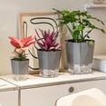 thumbnail image 3 of Self-absorbing Water Flower Planter Large Capacity Creative Promote Healthy Growth Planter for Living Room Bedroom Study, 3 of 5