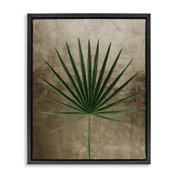 Stupell Industries Glam Earthy Fan Palm Black Floating Frame Canvas Art, 17 x 21, by Anna Lischenko