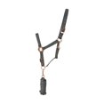 thumbnail image 1 of Hy Rose Gold Headcollar and Lead Rope, 1 of 1