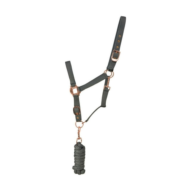 Hy Rose Gold Headcollar and Lead Rope