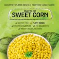 thumbnail image 4 of (12 Pack) Legurme Ready to Eat Sweet Corn, Gluten Free, Plant Based, Vegan, NO Preservatives, NO Colorants, NO Artificial Flavors, 7.8 oz, 4 of 8