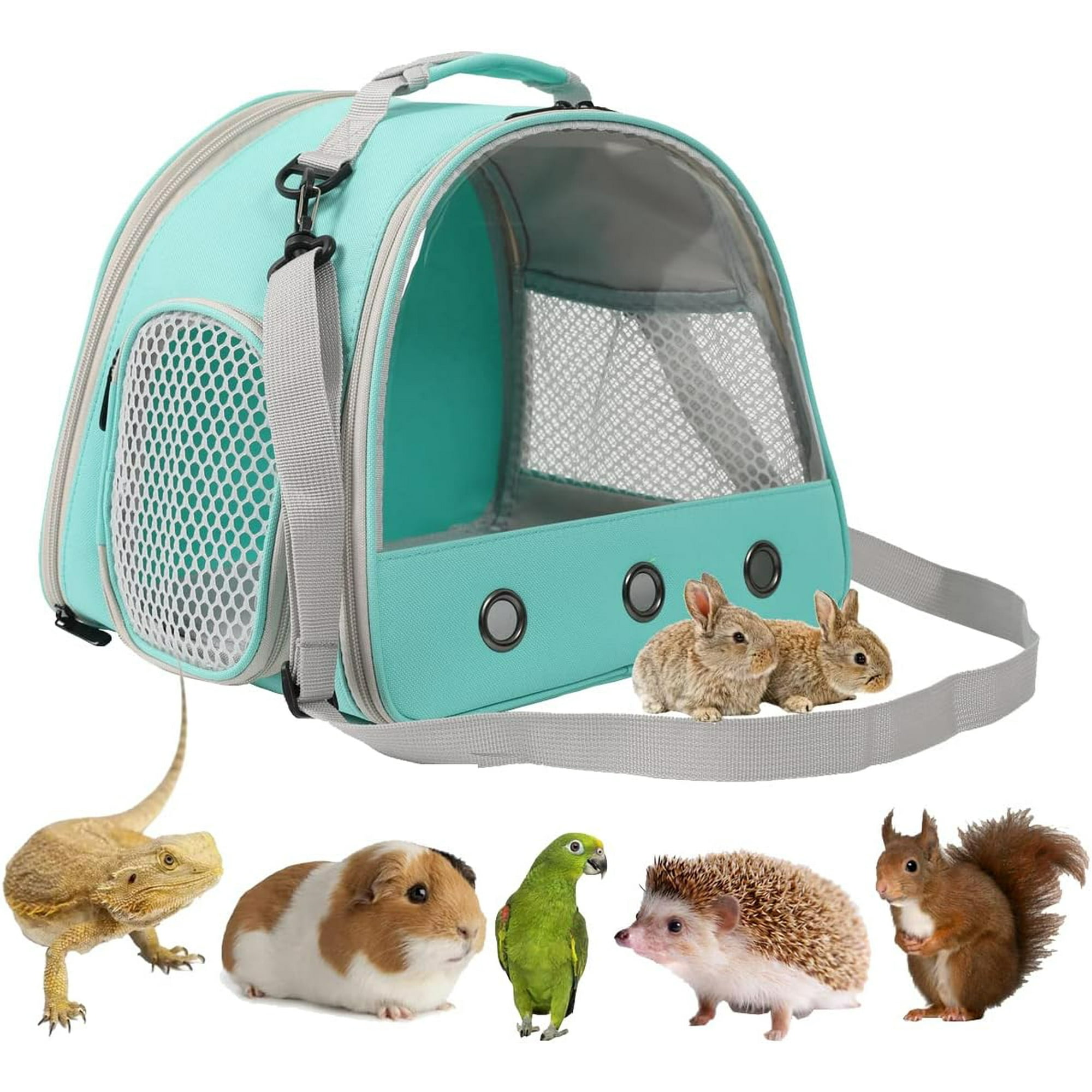 Guinea pig travel carrier 2025