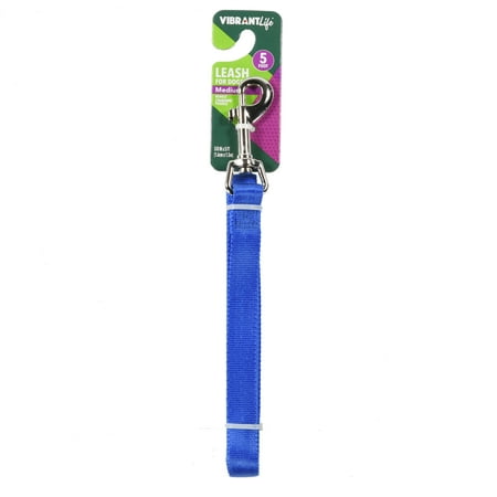 Vibrant Life Blue Dog Leash, Medium, 5 ft, 5/8 in