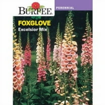 Burpee Excelsior Mix Foxglove Flower Seed