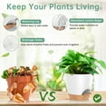 thumbnail image 3 of 5 Pack Self Watering Plant Pots, Plastic Planters with Drainage Holes and Saucers, Flower Pots for Indoor Outdoor Garden Plants, 7/6.5/6/5.5/5 Inch（White）, 3 of 7