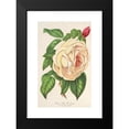 thumbnail image 2 of Charles Antoine Lemaire 11x14 Black Modern Framed Museum Art Print Titled - Rose President (Tea) (1854-1896), 2 of 5