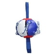 thumbnail image 2 of Flying Dog Ball, Flying Saucer Ball Portable Interactive Flattened Rebounding  For Park Blue,Red,Yellow Blue, Blue,Red Green, 2 of 8