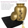 thumbnail image 7 of Trupoint Memorials Gold Large Pet Cremation Urn for Large Animals - for Dogs and Cats up to 122 Pounds, 7 of 7