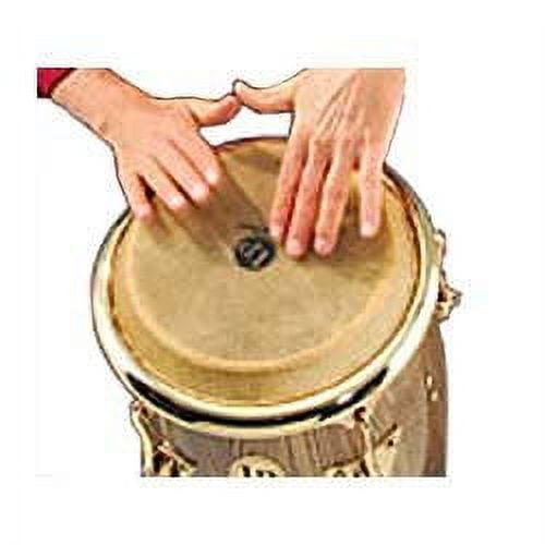 9" Mounted Super Quinto Head_x000D_