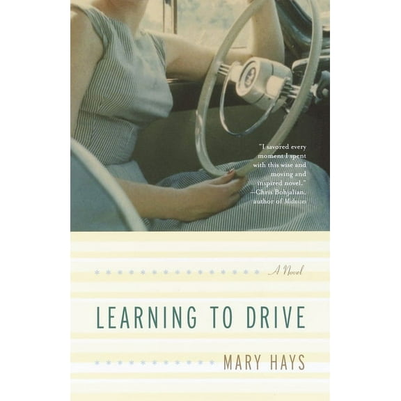 Learning to Drive (Paperback)