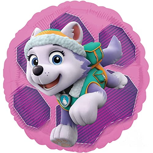 Skye and Everest 2nd Birthday Party Supplies Girl Paw Pups on Patrol Balloon Bouquet Decorations 12ct