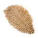 thumbnail image 3 of 10 plumas de pavo real reales de 25 a 50 cm para manualidades, joyería, jarrón, decoración de mesa, pluma para escenario, accesorios para vestidos de boda, 3 of 5