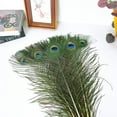 thumbnail image 4 of 10 pcs Peacock Feathers in Bulk 16-18inch(40-45 cm) Bulk for DIY Craft, Wedding, Halloween Decoration, 4 of 6