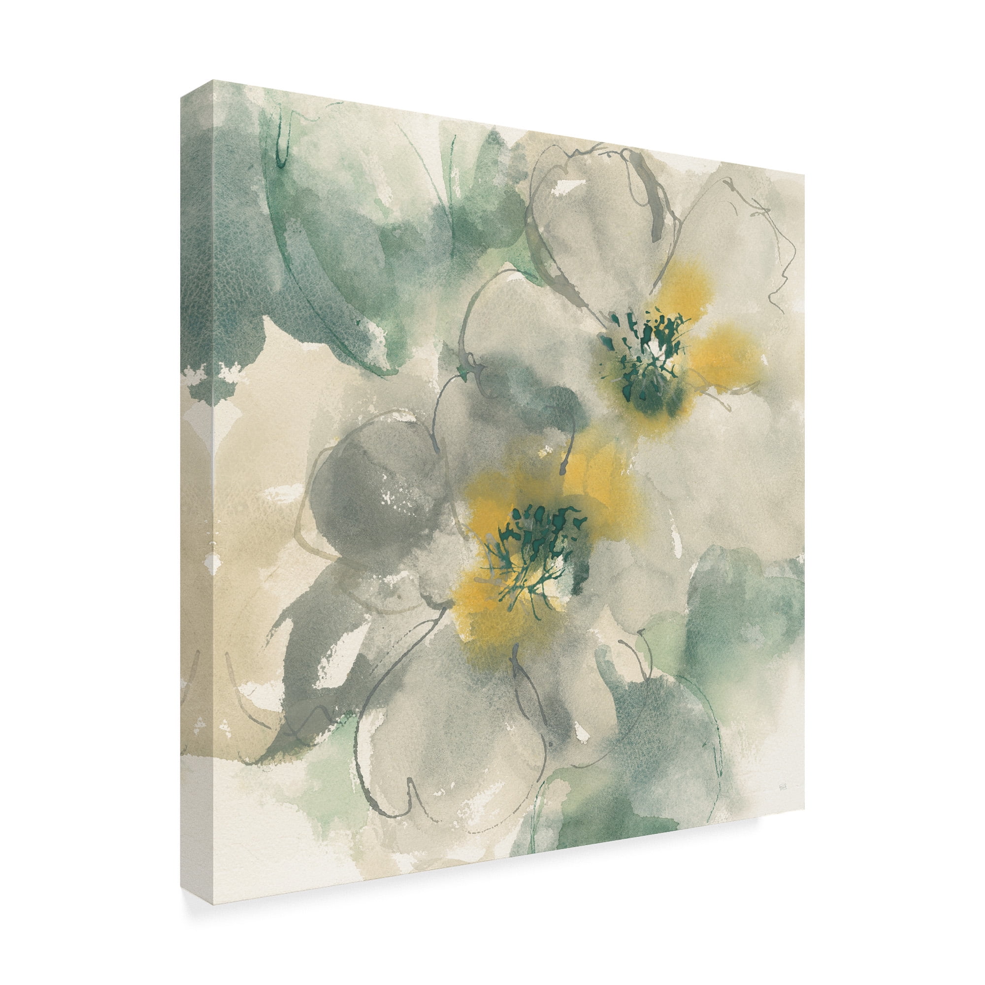 Trademark Fine Art 'Silver Quince I' Canvas Art by Chris Paschke