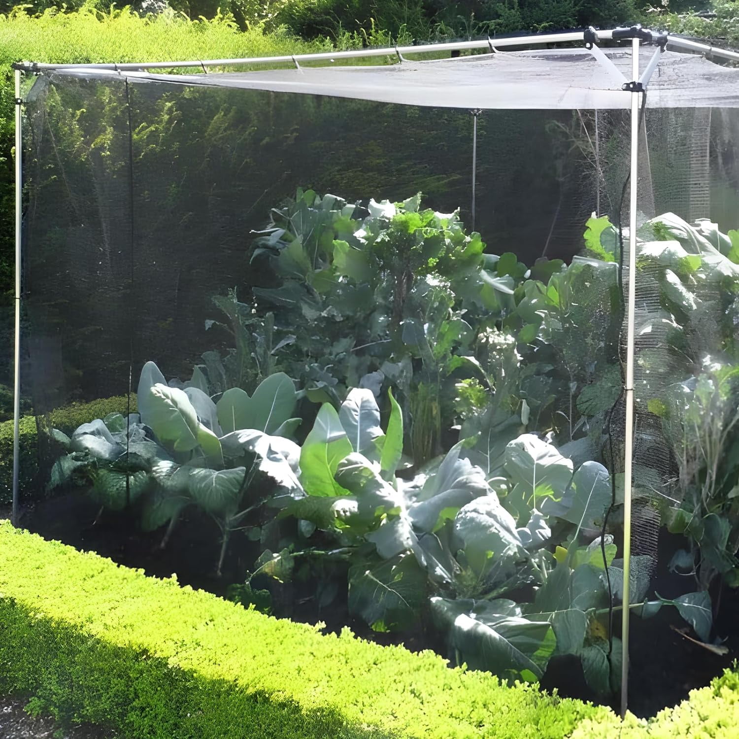 39 x 10 Ft Mosquito Netting for Garden Patio, Breathable Mesh Net for Bird and Insect Protection, Plant Cover for Vegetables, Fruits and Flowers, 3x12m Gray
