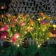 thumbnail image 4 of Luces solares para el jardín blanco con mariposas y margaritas de colores cambiantes, 4 of 8