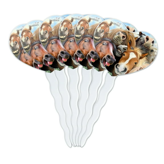 Horses Selfie Heart Love Cupcake Picks Toppers Decoration Set of 6