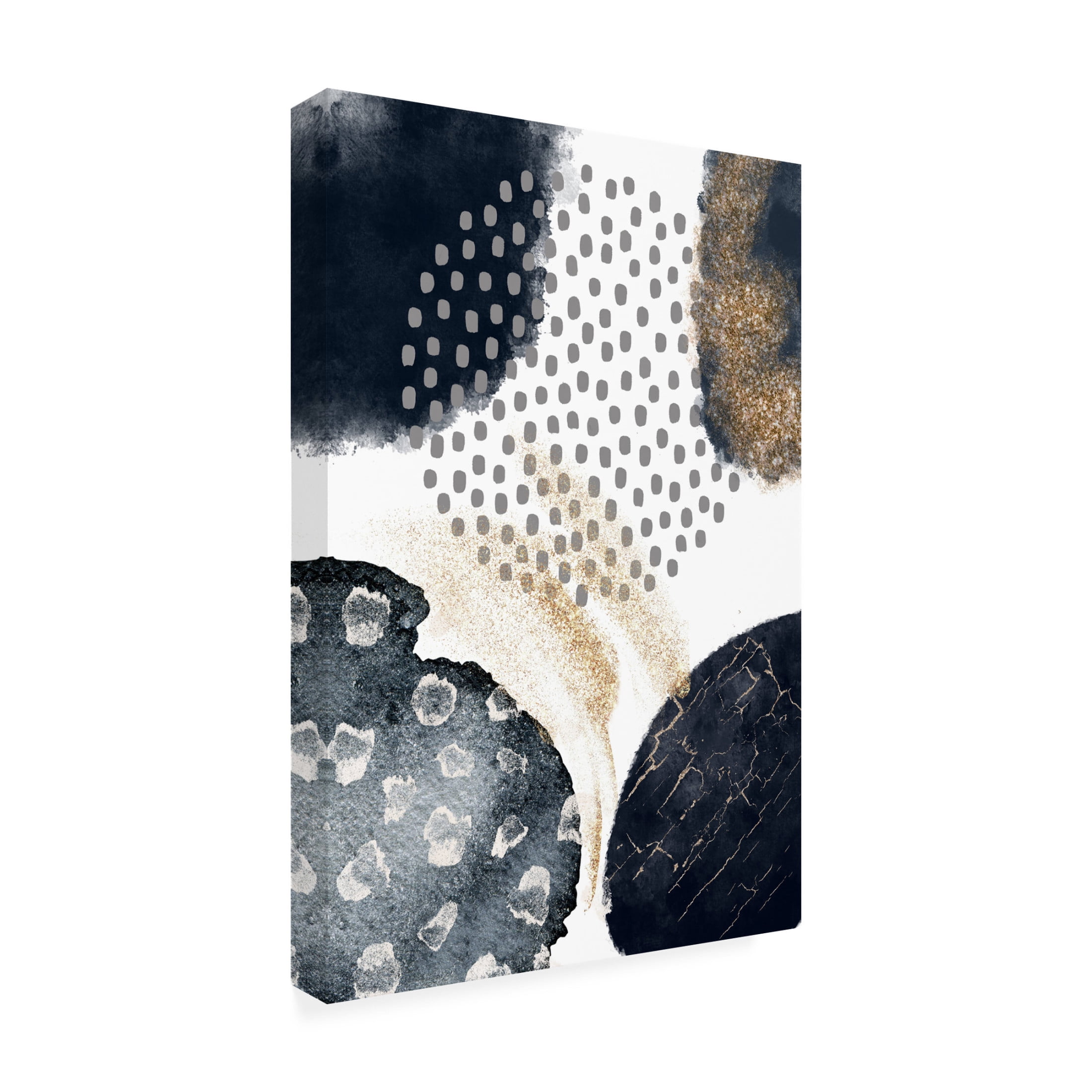 Trademark Fine Art Sally Ann Moss Abstract Black and Gold 3 Canvas Wall Art
