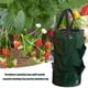 thumbnail image 3 of Bolsa de plantación de fresas 3L Bolsa de cultivo de flores de múltiples bocas Maceta (verde), 3 of 4