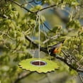 thumbnail image 4 of Hanging Bird Feeder and Bath for Outside, Sunflower Wild Bird Feeder for Outdoors Garden Backyard Balcony Decor, Large Platform Bird Seed Water Feeders Tray, Bird Watching Gifts for Mom Grandma Women, 4 of 7