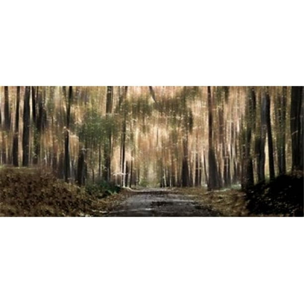 Panoramic Images PPI142192S Affiche Forêt Enchantée 15 x 6