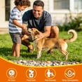 thumbnail image 5 of Bond Craftor Mulch Glue, 1.1 Gal Pet Friendly Non-Toxic Gravel Binder for Garden Walkways Landscaping, 5 of 11