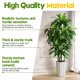 thumbnail image 2 of Árbol de dracaena artificial PUUKU de 150 cm con maceta blanca para interiores, 2 of 7