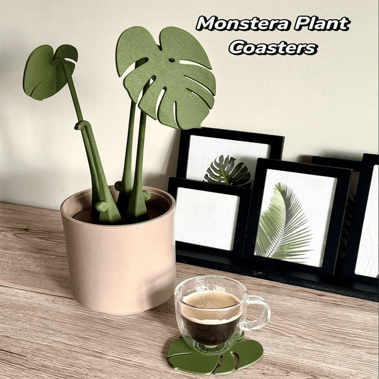 peace lily variegated Variegated Peace Lily for Sale | Buy Houseplants Online