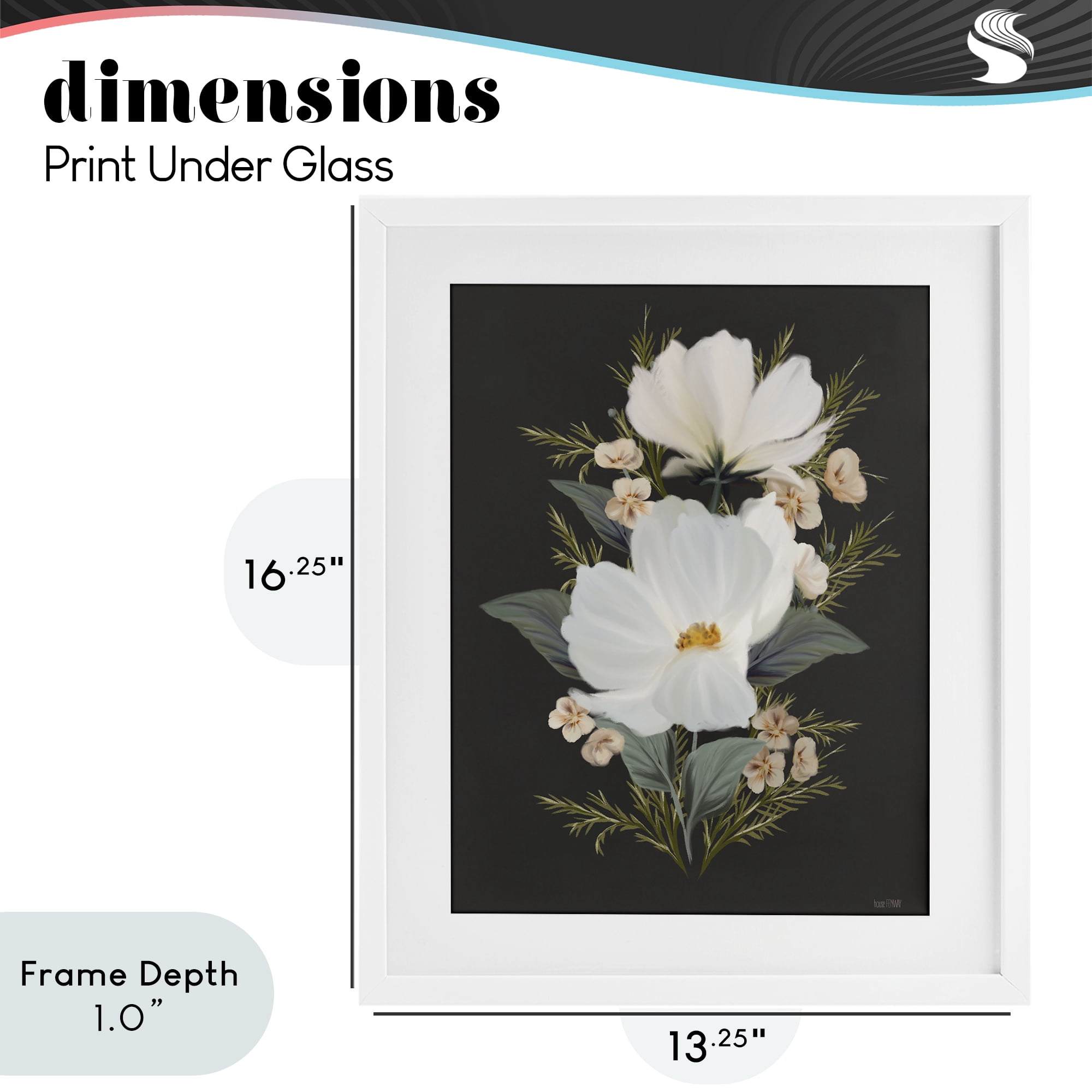 Stupell Industries Lace Cosmos Flowers White Framed Print Under Glass, design by House Fenway