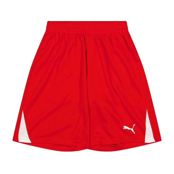 Puma Boys/Girls Team Shorts
