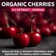 thumbnail image 3 of Pure Co 2000mg Organic Tart Cherry Supplement, 4:1 Tart Cherry Extract, 60 Capsules, 3 of 8