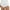 White, variant on Women's Plain Straight Leg White Denim Shorts 26 (2)