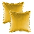 thumbnail image 1 of Dinheiro Funda de almohada sólida de terciopelo granular suave de 18x18 "adecuada para sofá dormitorio Coche paquete de 2 piezas, 1 of 5