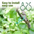 thumbnail image 3 of Clips Soporte Plantas Pequeños 50/100/200pcs Reutilizables para Trepadoras, 3 of 9