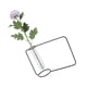 thumbnail image 5 of Macetero de Cristal, Florero Hidropónnico, Decoración Transparente Para El Hogar, Interior y Oficina, 5 of 7
