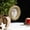 5Pcs personalized photo frame ornaments Under $5 a5, variant on 5Pcs Personalized Photo Frame Ornaments, RRJ Christmas Tree Ornaments Picture Frames, Personalized Photo Frame Ornaments for Holiday Decor, Plastic Square Round Irregular Shape Photo Props, Glue