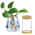 thumbnail image 3 of Hyasfey Plant Propagation Station Glass Planter with Wooden Tray Lid Tabletop Plant Propagation Vase for Hydroponic Plants Air Plants Flower Cuttings, 3 of 7