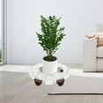 thumbnail image 4 of Soportes para plantas rodantes con capacidad de carga grande para patio interior y jardín L Cola Transportador de jardineras, 4 of 7