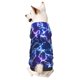 thumbnail image 1 of Fotbe Blue Lightning1 Sudadera con Estampado para Perros Pequeños – Suéter con Capucha para Mascotas, Tela Suave de Forro Polar con Bolsillo-Small, 1 of 7