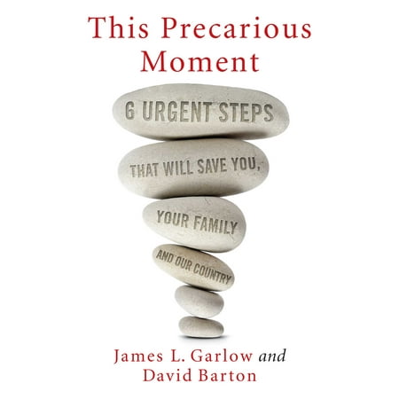This Precarious Moment : Six Urgent Steps that Will Save You, Your Family, and Our
