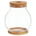 thumbnail image 1 of Glass Fish Aquarium Transparent Modern Design Desktop Mini Aquarium 1 Set 4.3x3.9x3.9in, 1 of 8