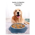 thumbnail image 2 of Plato Para Perro Xtellar azul Alimentación Lenta Antiasfixia Ralentizar, 2 of 5