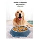 thumbnail image 2 of Plato Para Perro Xtellar azul Alimentación Lenta Antiasfixia Ralentizar, 2 of 5